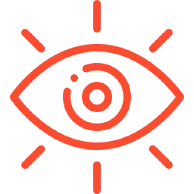 Vision